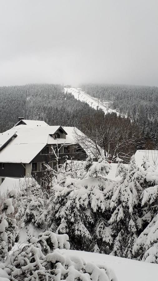 Apartment Steffens Hahnenklee 25