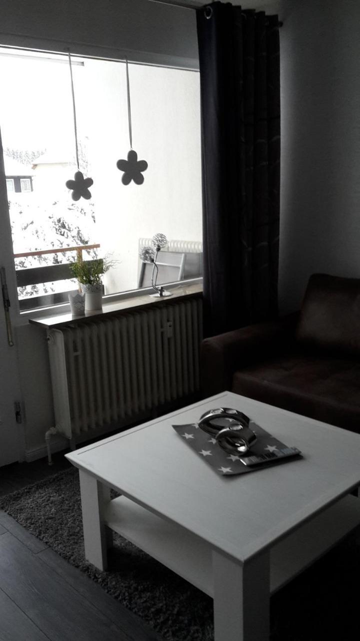 Steffens Hahnenklee 25 Apartment Goslar